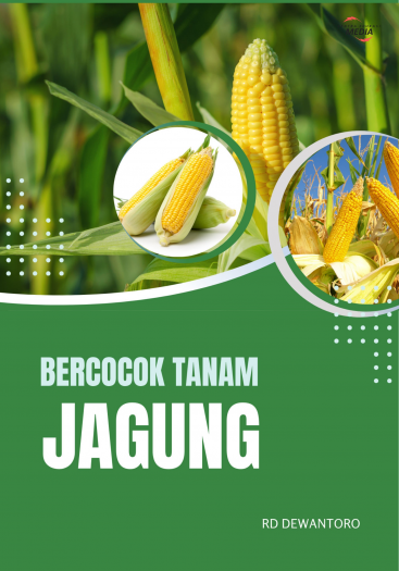 Bercocok Tanam Jagung