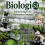 Biologi 53: Kultur Jaringan dan Perbanyakan Tanaman