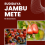 Budidaya Jambu Mete