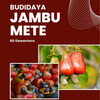 Budidaya Jambu Mete