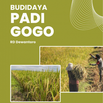 Budidaya Padi Gogo