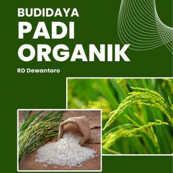 Budidaya Padi Organik
