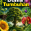 Dunia Tumbuhan