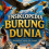 Ensiklopedia Burung Dunia: Keindahan Sayap dan Langit