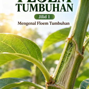 Floem Tumbuhan Jilid 1 Mengenal Floem Tumbuhan