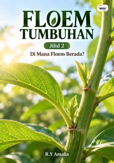 Floem Tumbuhan Jilid 2 Di Mana Floem Berada?