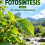 Fotosintesis Jilid 4 Air dalam Fotosintesis