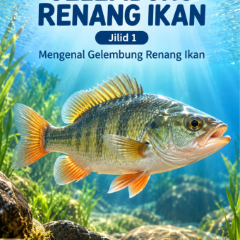 Gelembung Renang Ikan Jilid 1 Mengenal Gelembung Renang Ikan