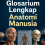 Glosarium Lengkap Anatomi Manusia 