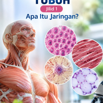 Jaringan Tubuh Jilid 1 Apa Itu Jaringan?