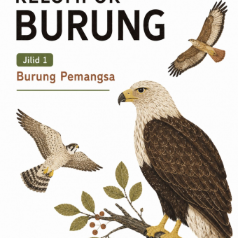 Kelompok Burung Jilid 1 Burung Pemangsa