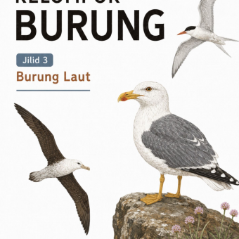 Kelompok Burung Jilid 3 Burung Laut