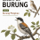 Kelompok Burung Jilid 4 Burung Pengicau