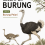 Kelompok Burung Jilid 5 Burung Pelari