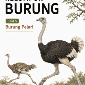 Kelompok Burung Jilid 5 Burung Pelari