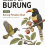Kelompok Burung Jilid 6 Burung Pemakan Buah