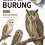 Kelompok Burung Jilid 8 Burung Malam