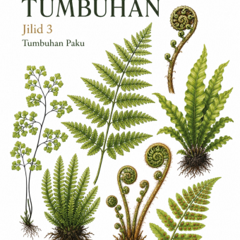 Kelompok Tumbuhan Jilid 3 Tumbuhan Paku