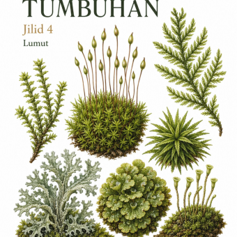 Kelompok Tumbuhan Jilid 4 Lumut