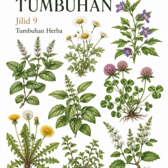 Kelompok Tumbuhan Jilid 9 Tumbuhan Herba
