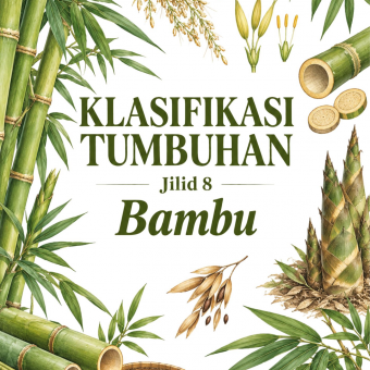 Klasifikasi Tumbuhan Jilid 8 Bambu