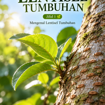 Lentisel Tumbuhan Jilid 1 Mengenal Lentisel Tumbuhan