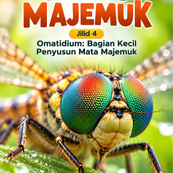 Mata Majemuk Jilid 4 Omatidium: Bagian Kecil Penyusun Mata Majemuk
