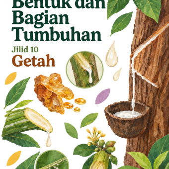 Mengenal Bentuk dan Bagian Tumbuhan Jilid 10 Getah