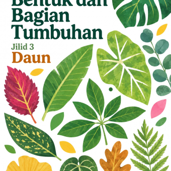 Mengenal Bentuk dan Bagian Tumbuhan Jilid 3 Daun