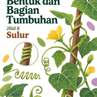 Mengenal Bentuk dan Bagian Tumbuhan Jilid 8 Sulur