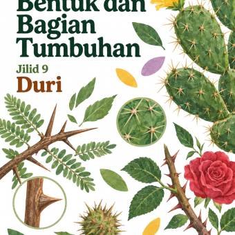 Mengenal Bentuk dan Bagian Tumbuhan Jilid 9 Duri