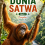 Menjelajahi Dunia Satwa Jilid 2 Orangutan Penjaga Hutan Kalimantan