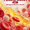 Plasma Darah Jilid 1 Mengenal Plasma Darah