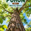 Pohon Jilid 3 Batang Pohon