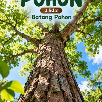 Pohon Jilid 3 Batang Pohon