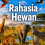 Rahasia Hewan