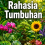 Rahasia Tumbuhan