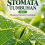 Stomata Tumbuhan Jilid 1 Mengenal Stomata Tumbuhan