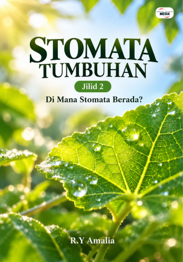 Stomata Tumbuhan Jilid 2 Di Mana Stomata Berada?