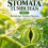 Stomata Tumbuhan Jilid 3 Bentuk dan Struktur Stomata