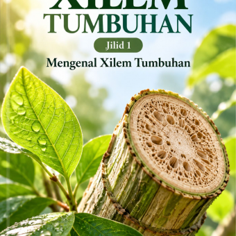 Xilem Tumbuhan Jilid 1 Mengenal Xilem Tumbuhan