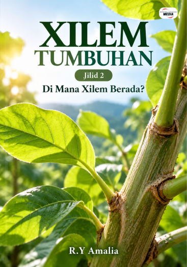 Xilem Tumbuhan Jilid 2 Di Mana Xilem Berada?